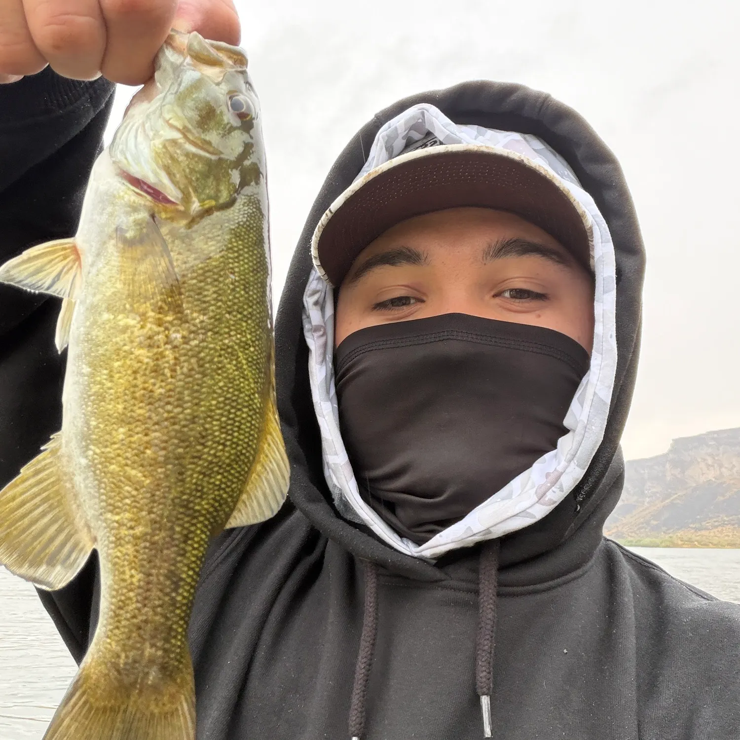 Smallmouth bass caught on Fishbrain