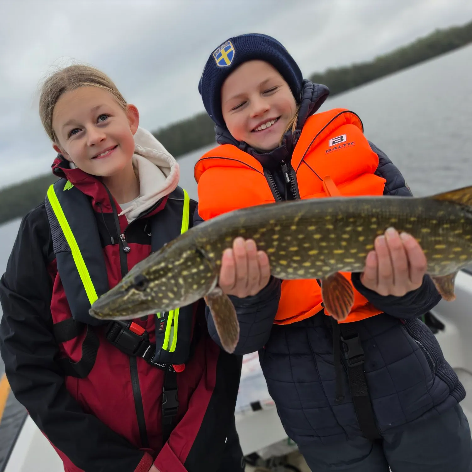 Northern pike caught on Fishbrain