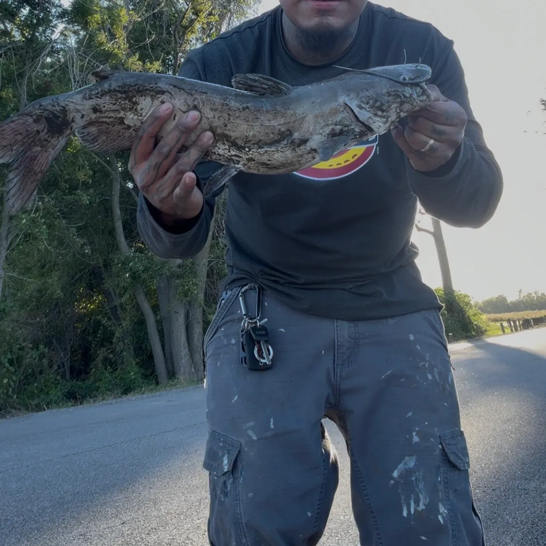 Channel catfish caught on Fishbrain