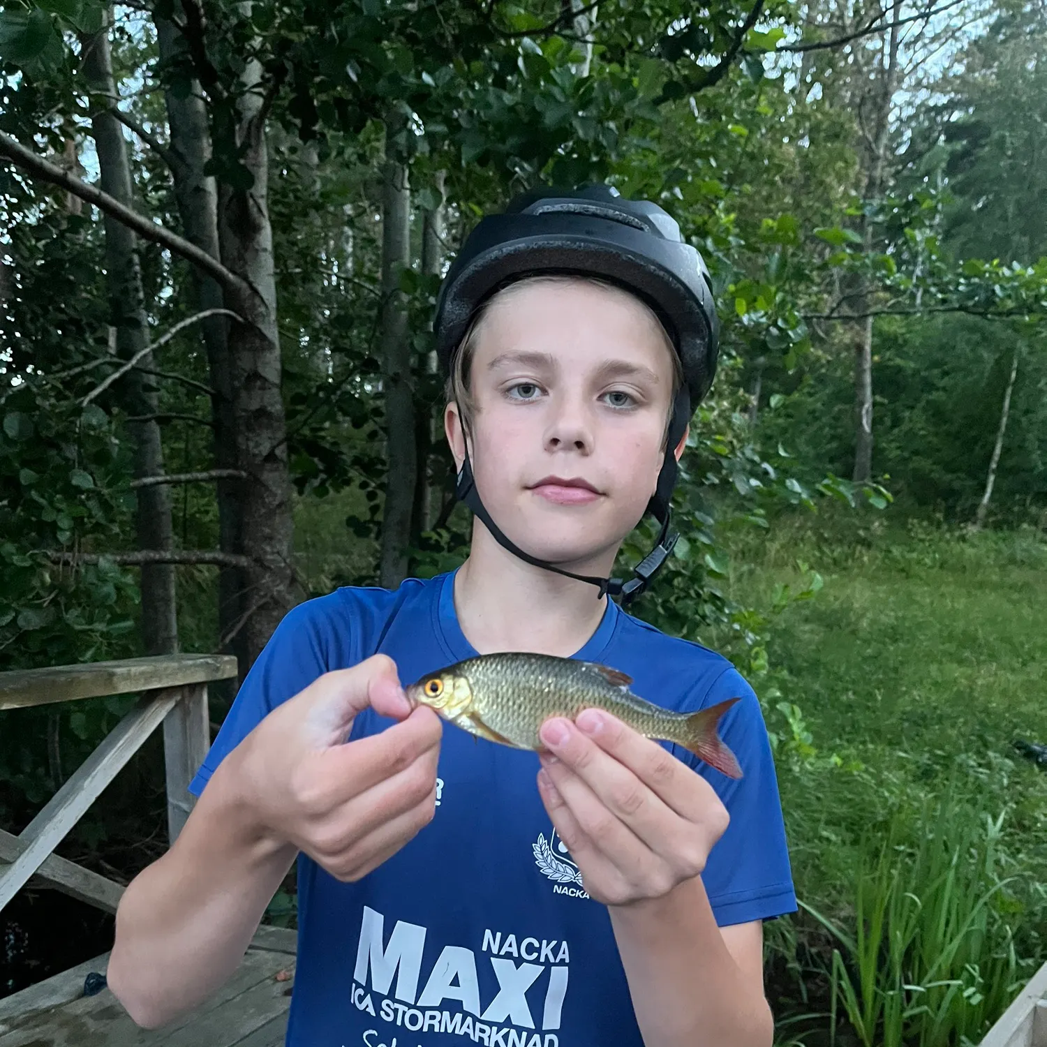 Common rudd caught on Fishbrain