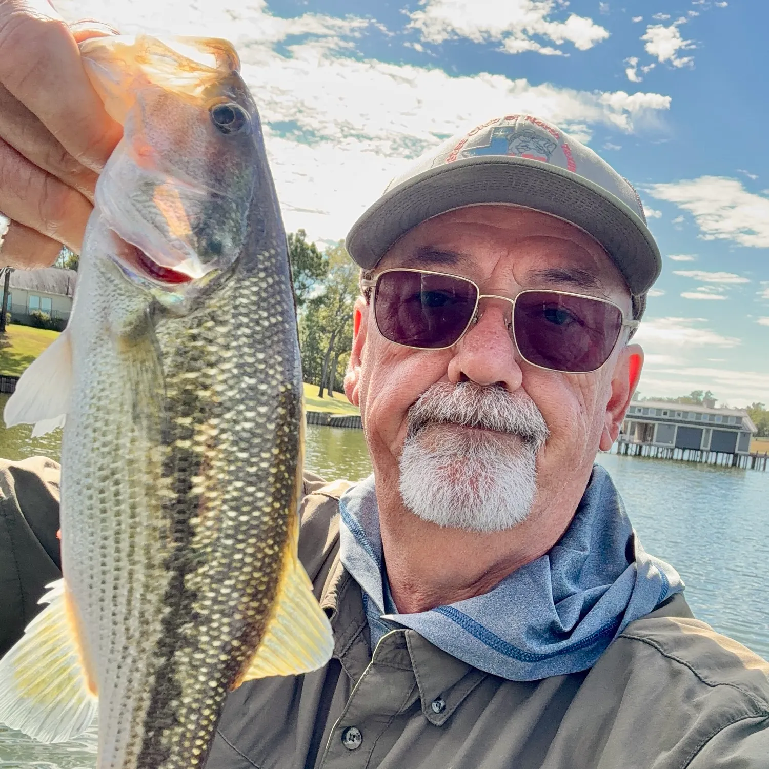 Spotted bass caught on Fishbrain