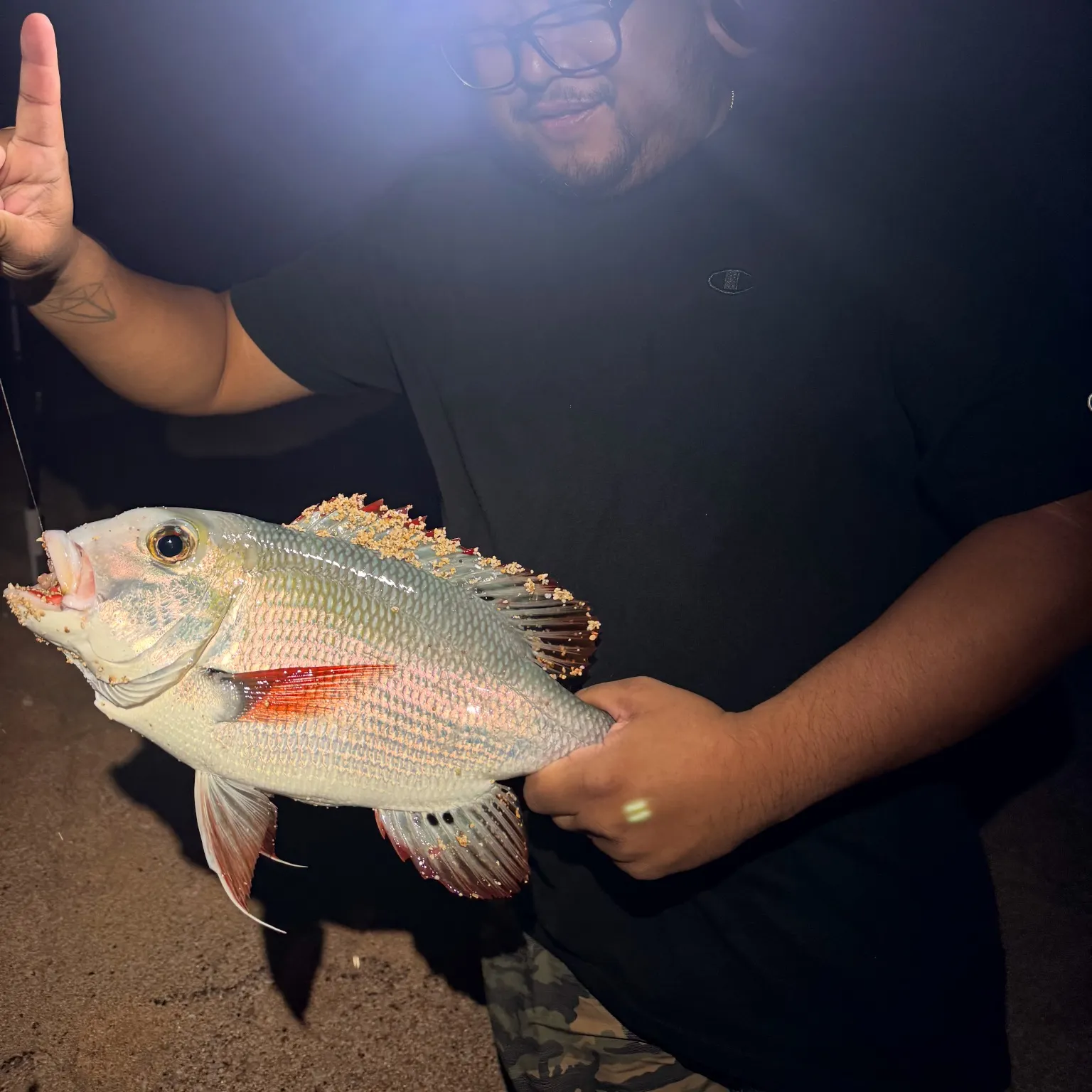 The most recent Humpnose big-eye bream catches on Fishbrain