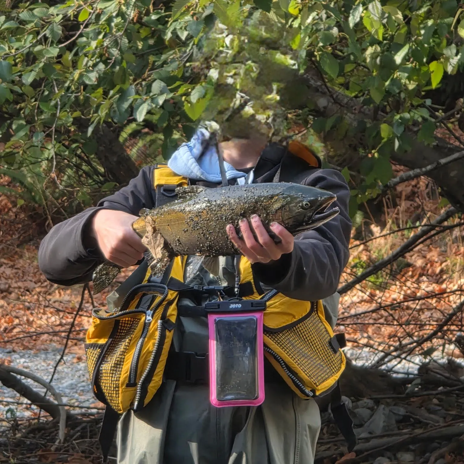 Coho salmon caught on Fishbrain