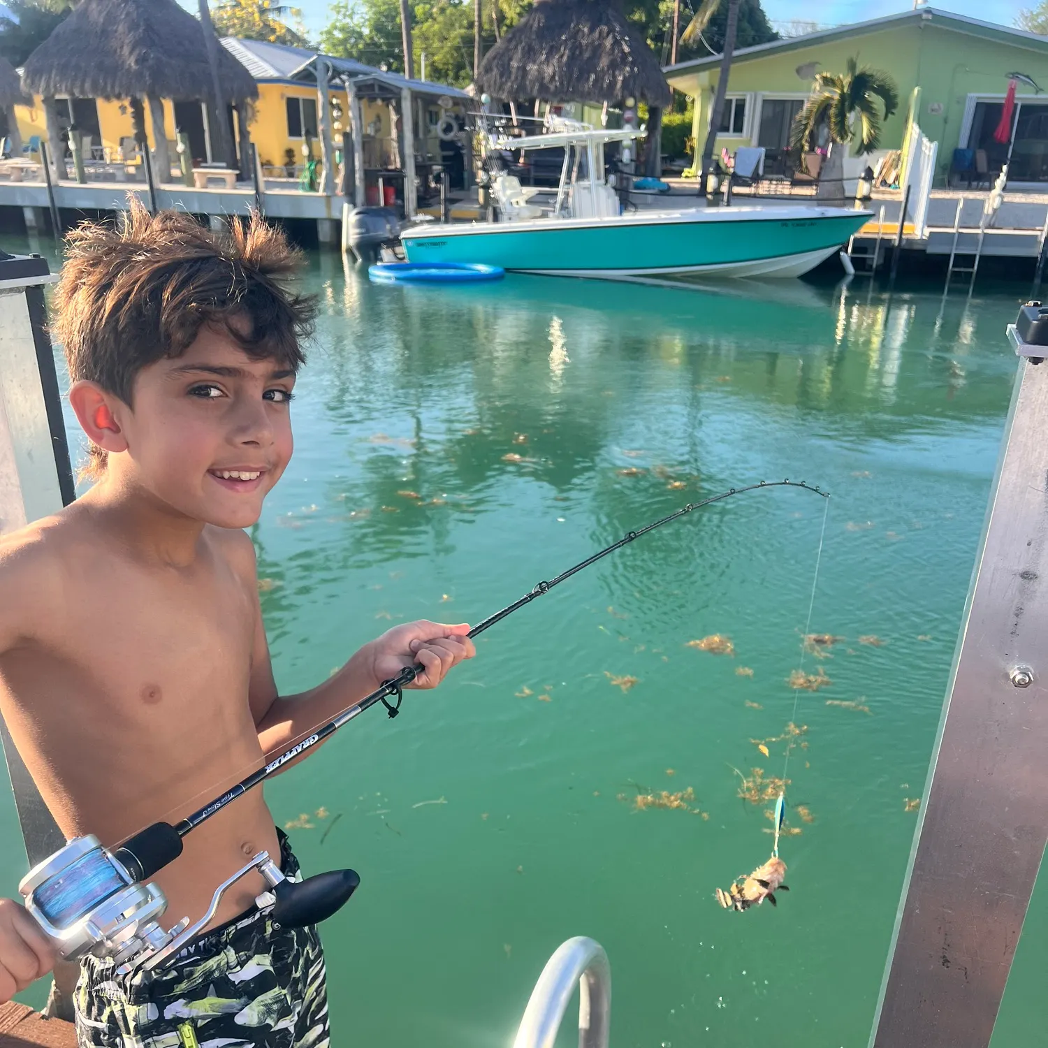 The most recent Nassau grouper catches on Fishbrain