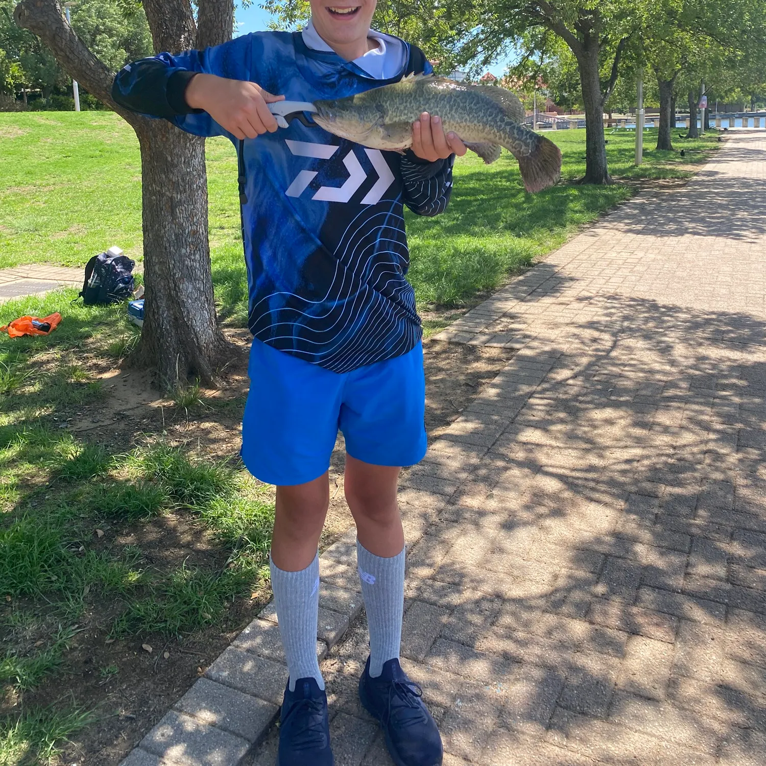 The most recent Murray cod catches on Fishbrain