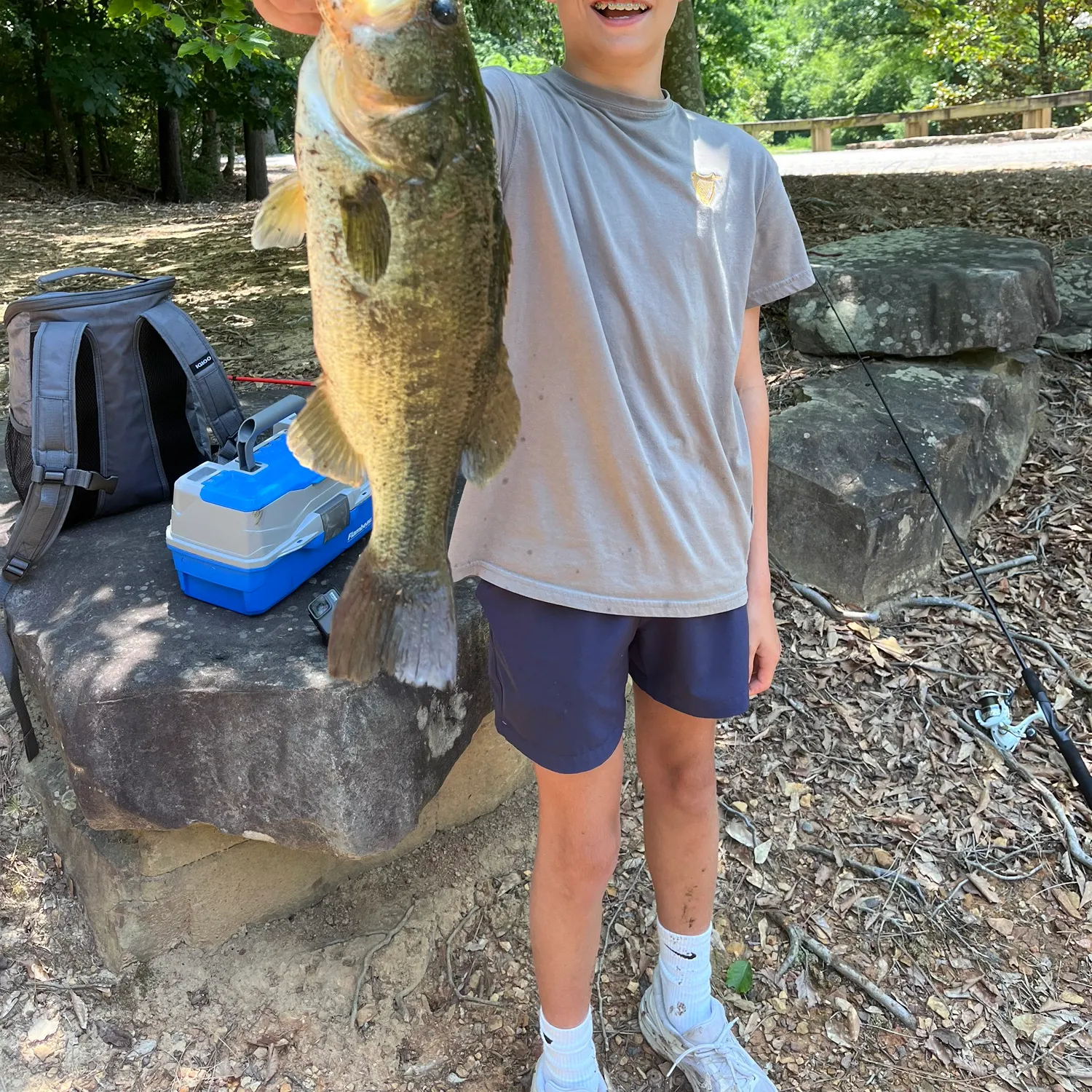 The most recent Harlequin snake eel catches on Fishbrain