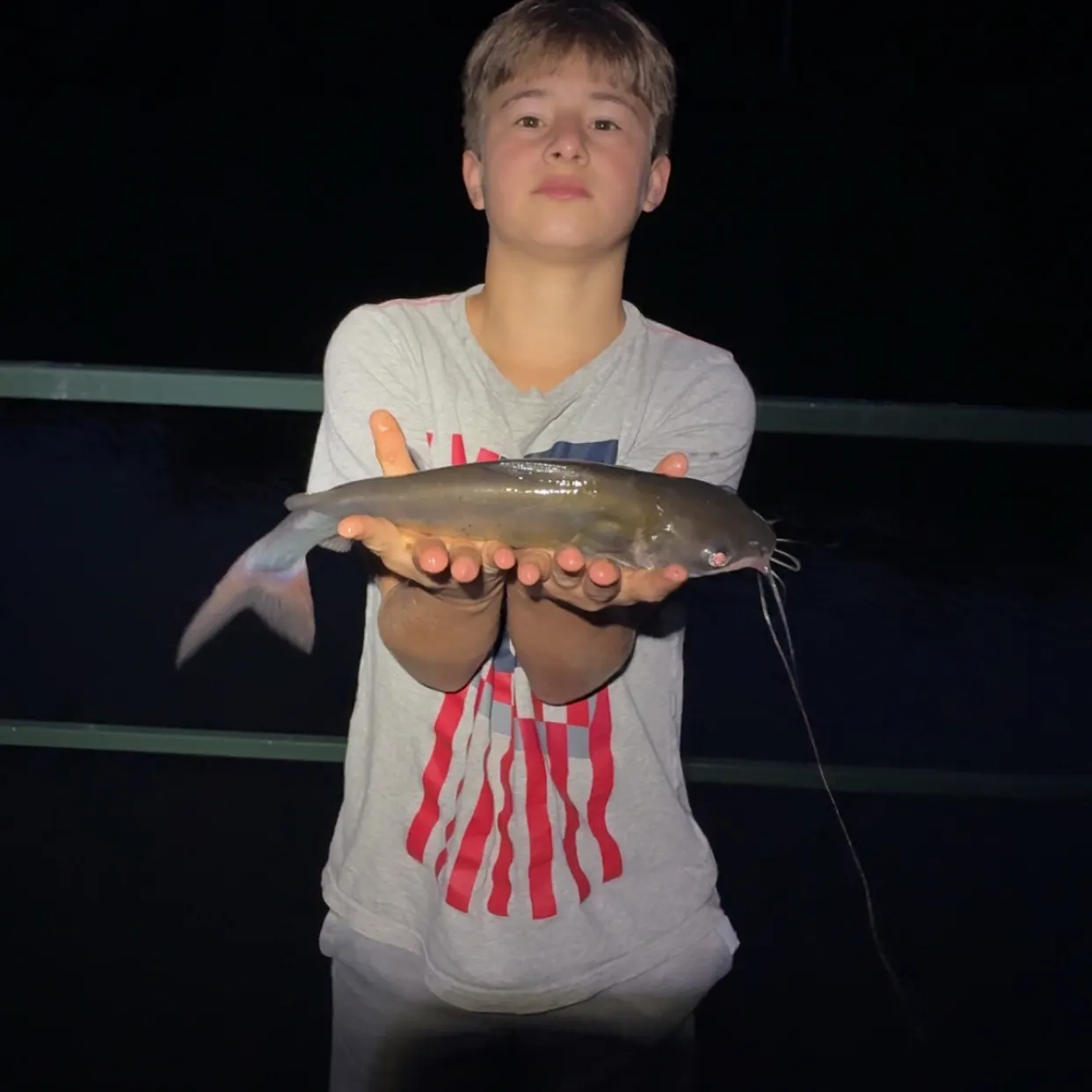 Channel catfish caught on Fishbrain