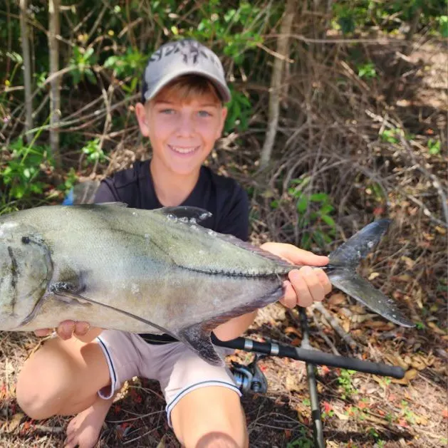 The most recent Bigeye trevally catches on Fishbrain