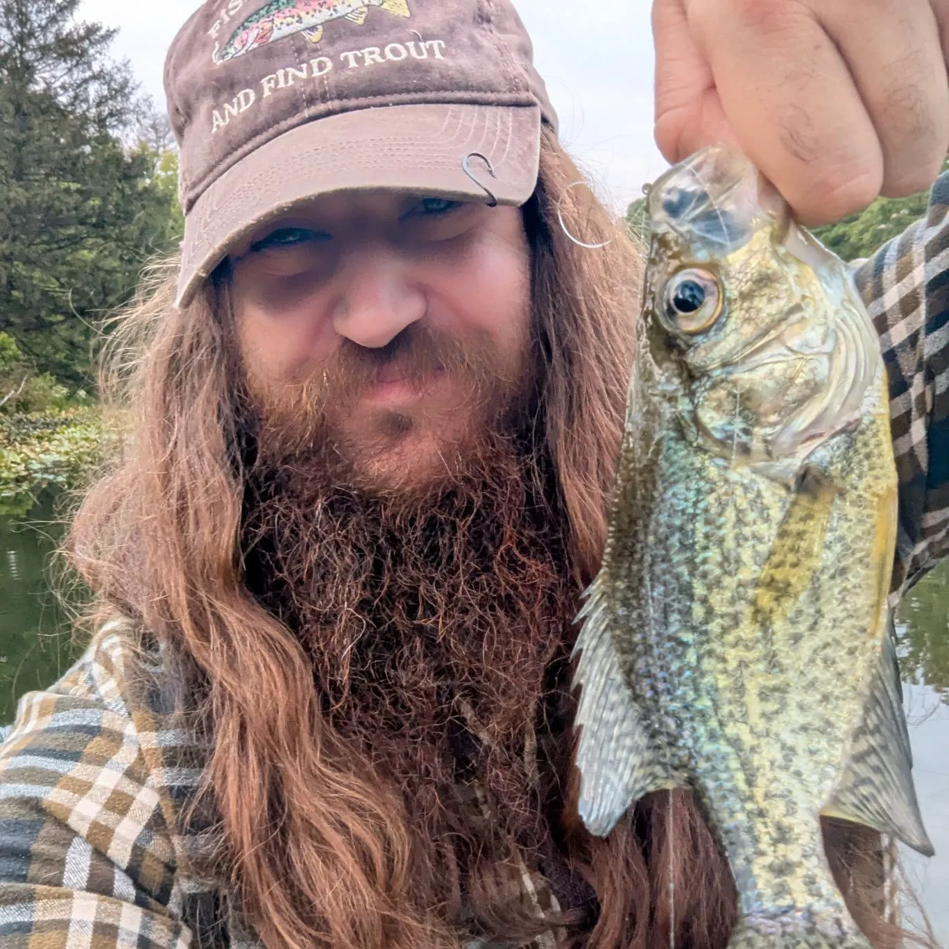 Black crappie caught on Fishbrain