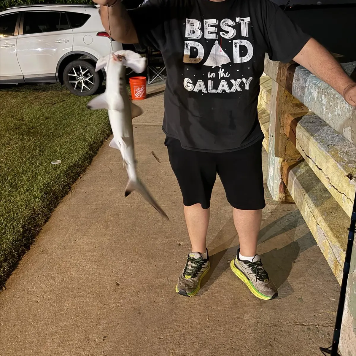 The most recent Scalloped hammerhead shark catches on Fishbrain