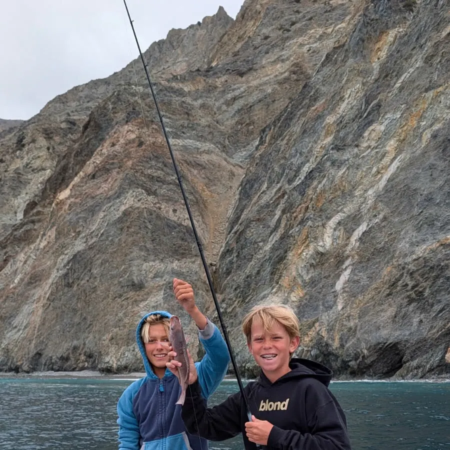 The most recent California sheephead catches on Fishbrain