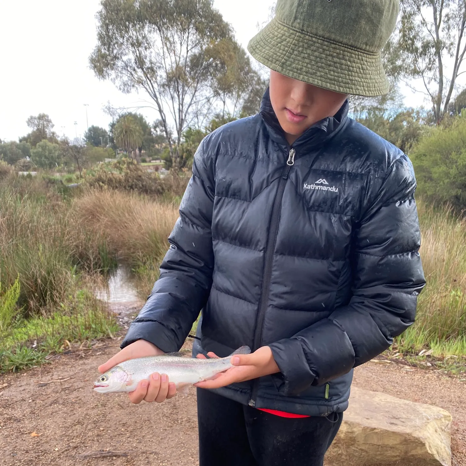 Rainbow trout caught on Fishbrain