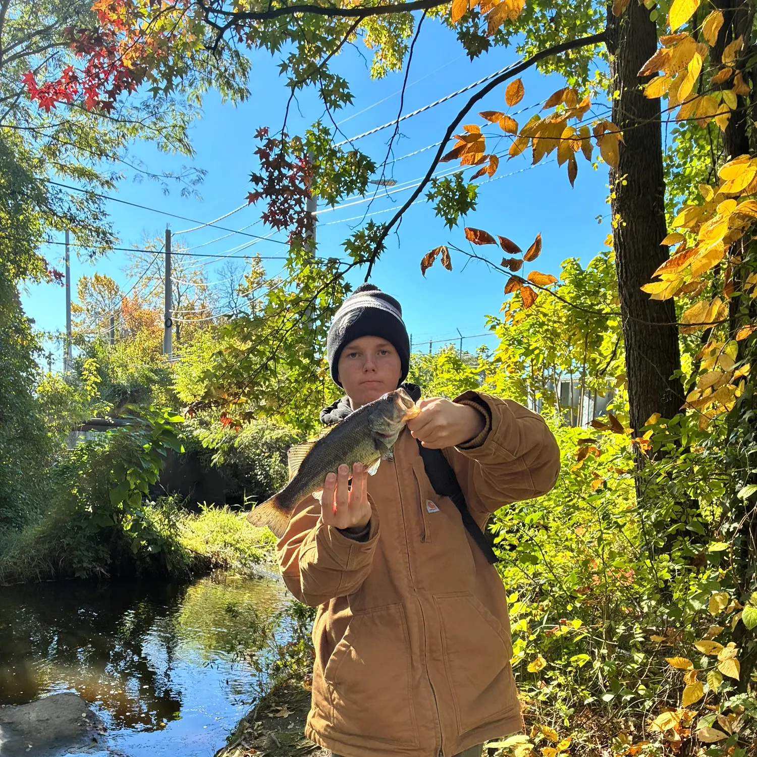 catch