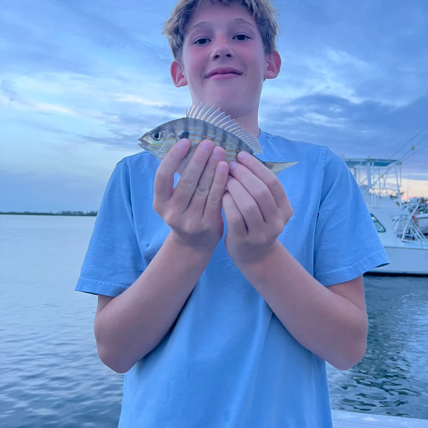 Pinfish caught on Fishbrain