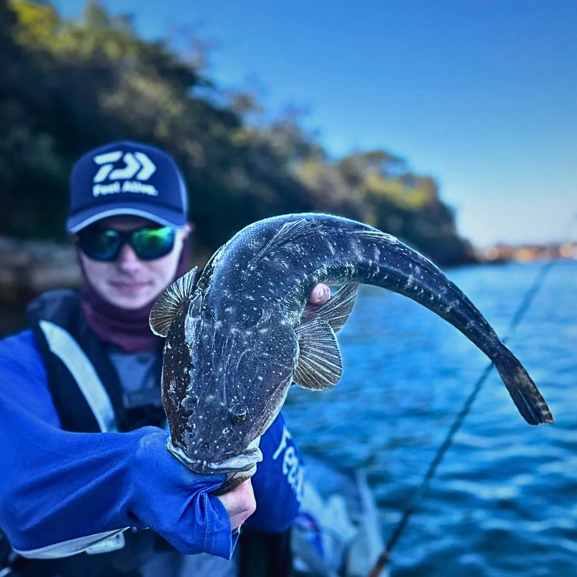 Dusky flathead caught on Fishbrain