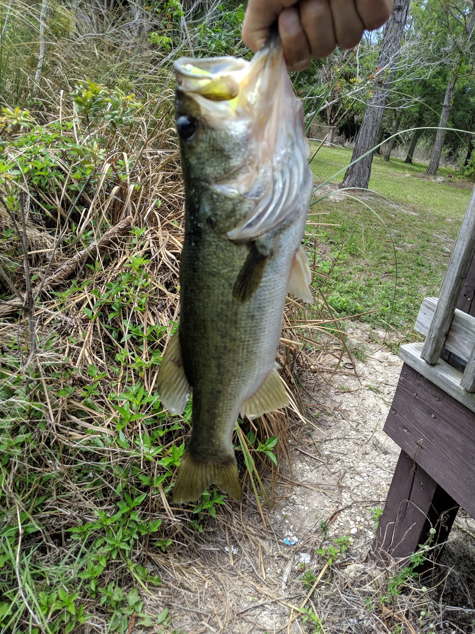 Post image from golfish11