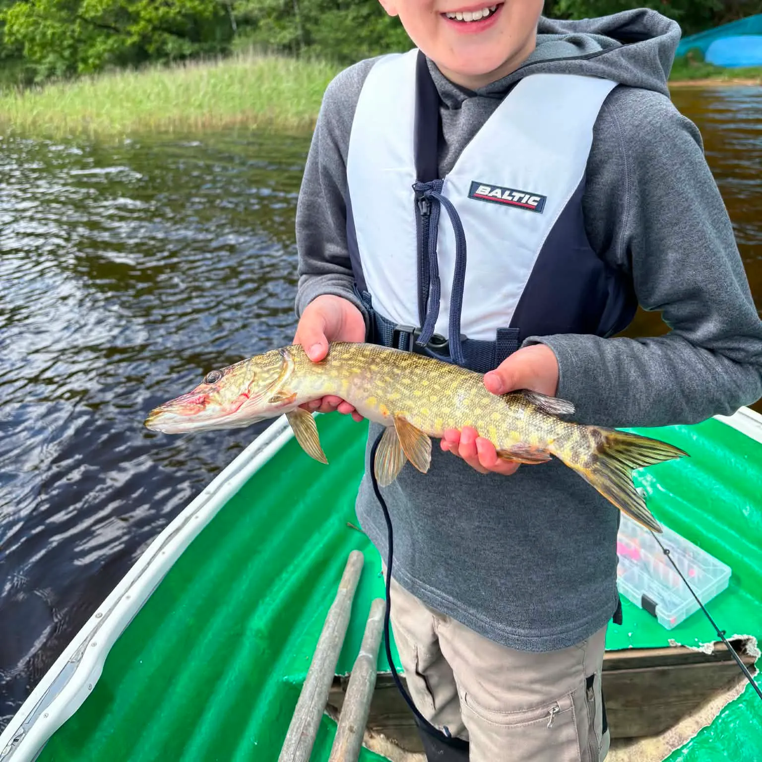 Northern pike caught on Fishbrain