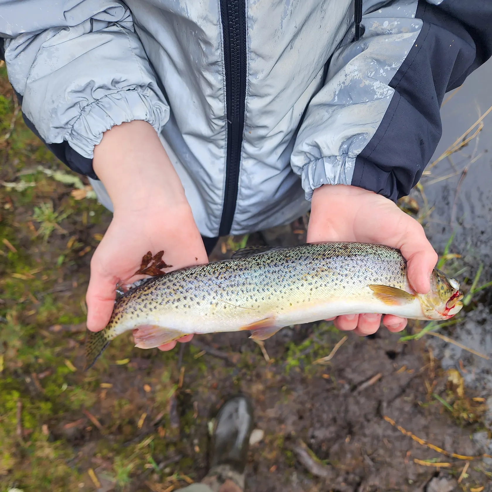 angler catch