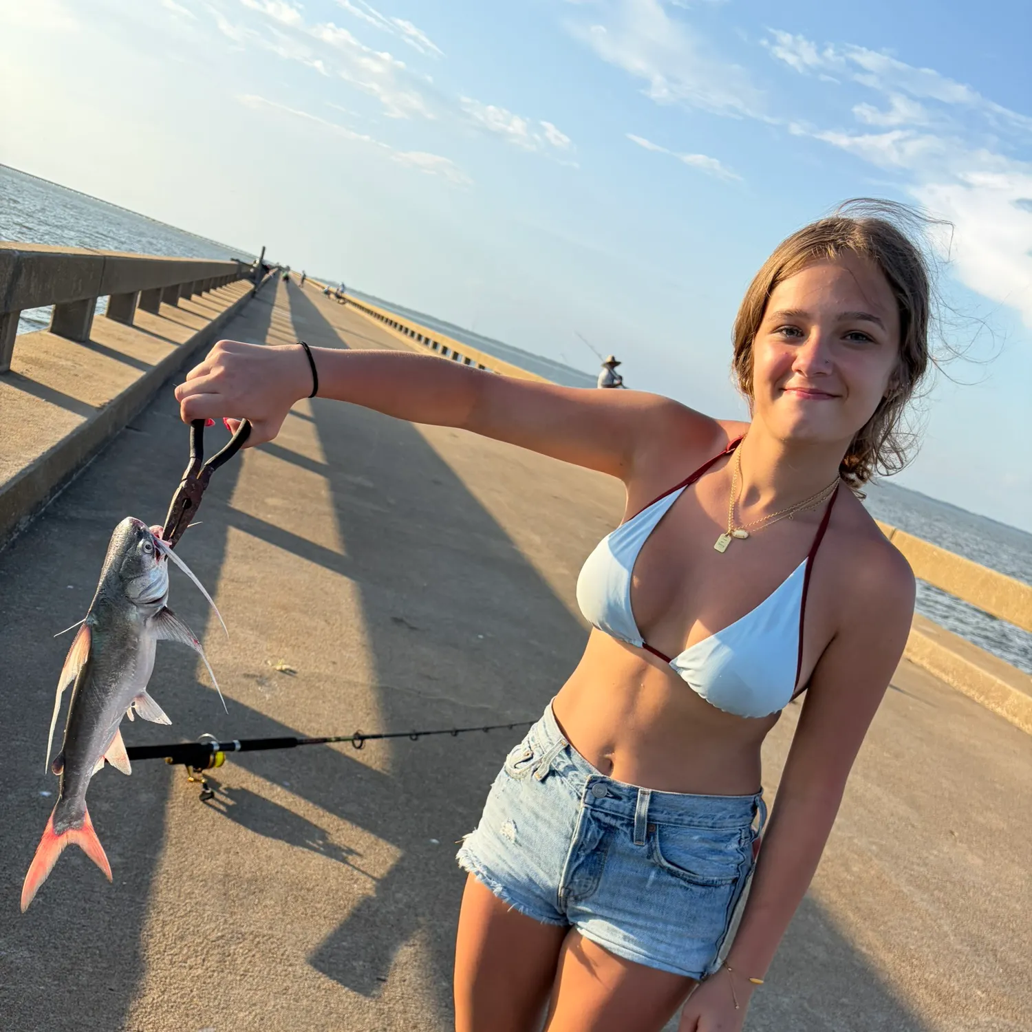 The most recent Gafftopsail sea catfish catches on Fishbrain