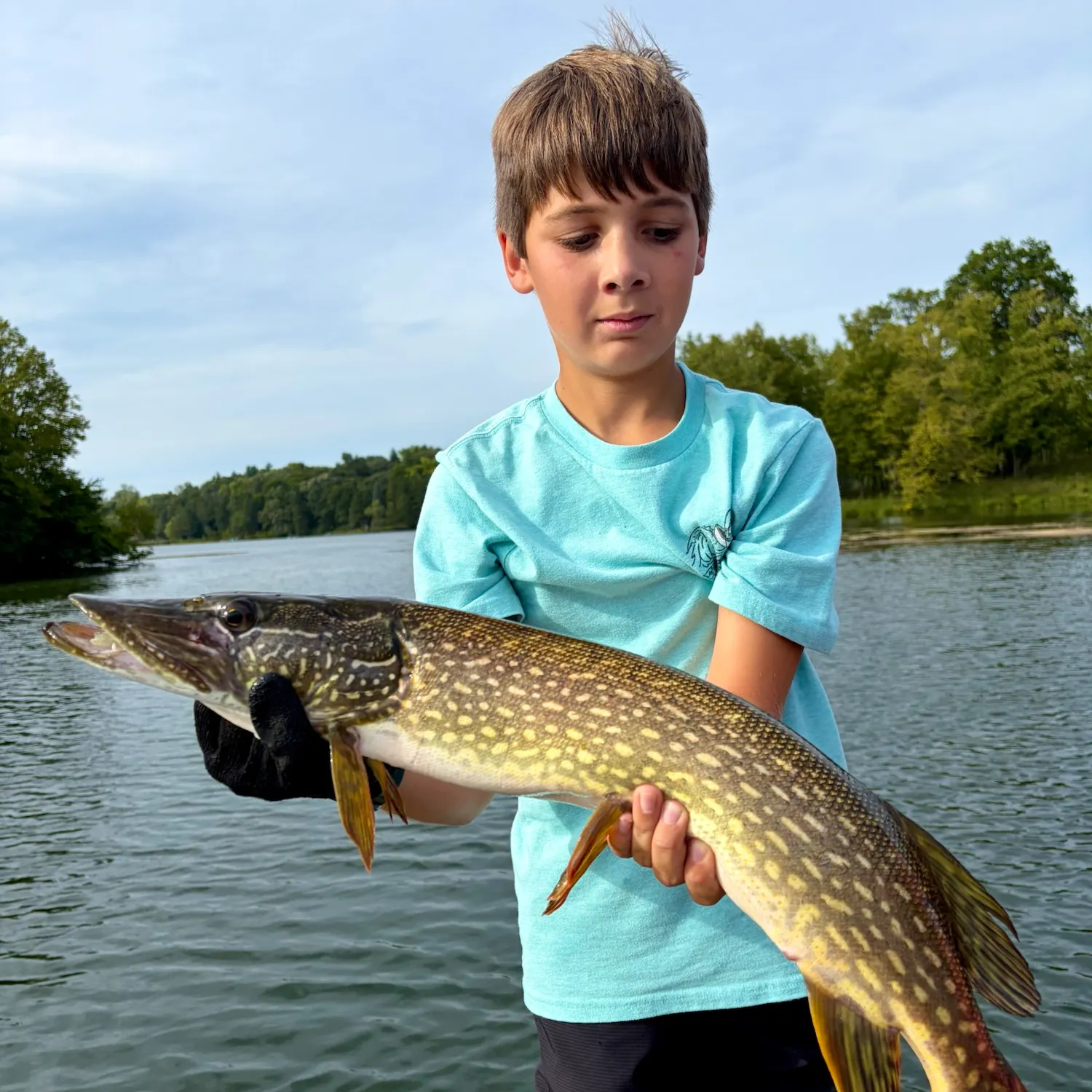 Northern pike caught on Fishbrain