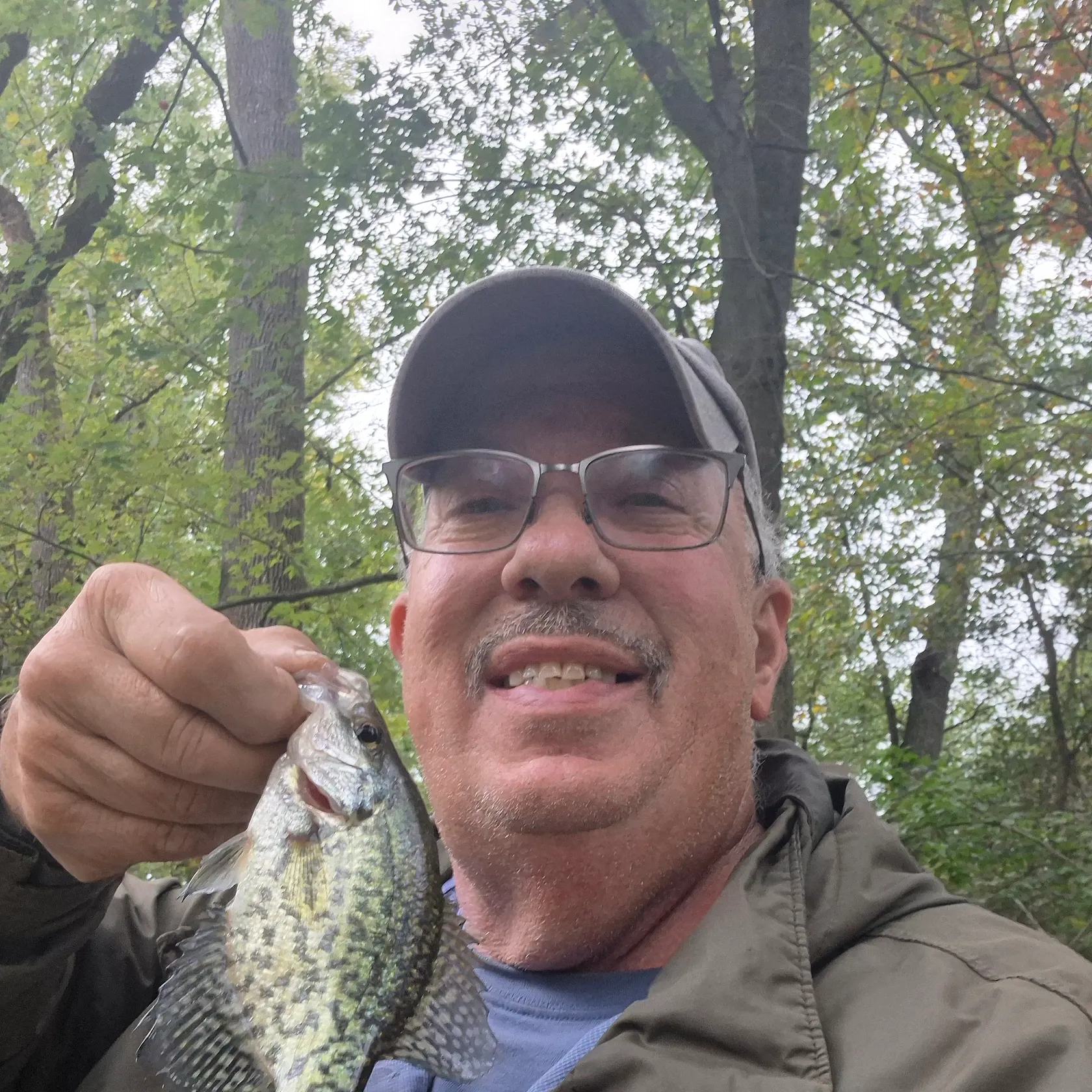 Black crappie caught on Fishbrain