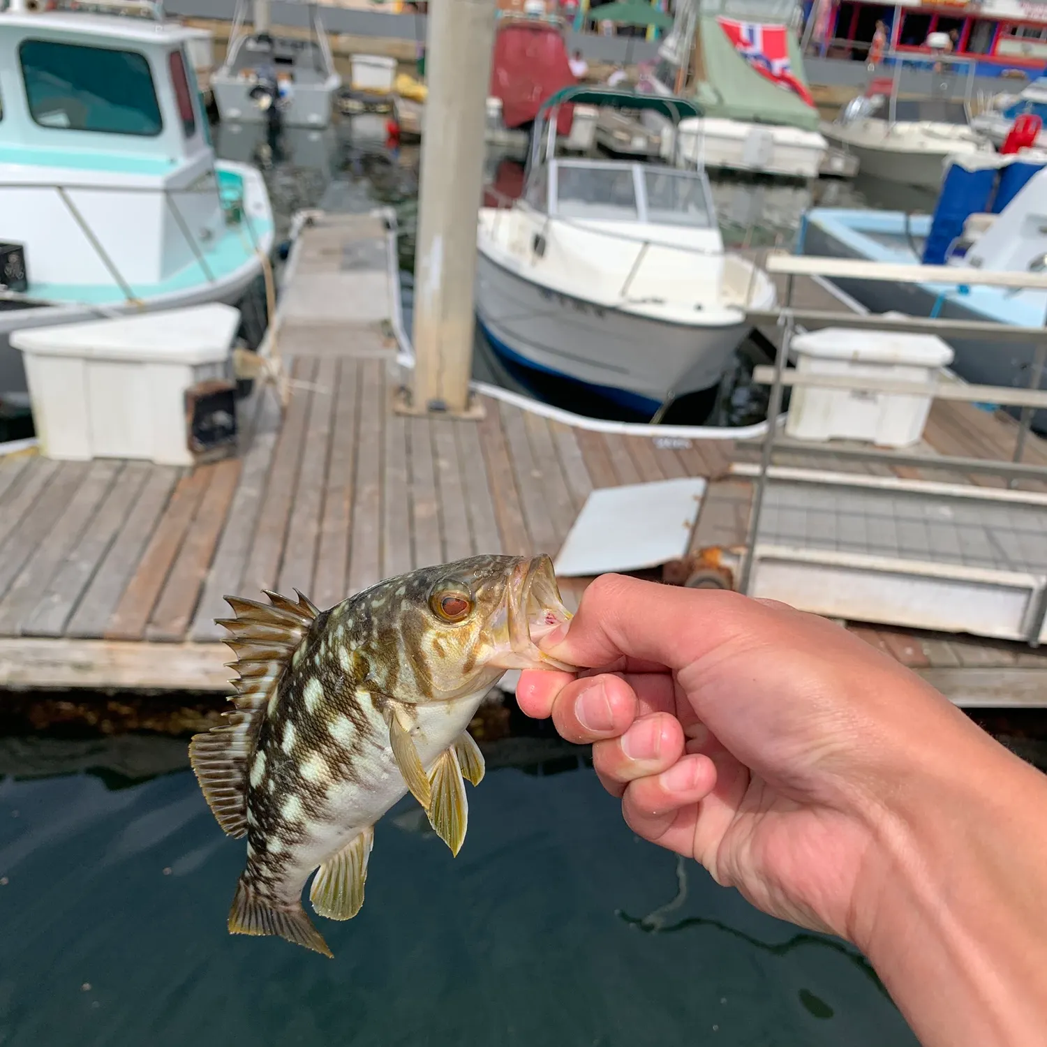 catch