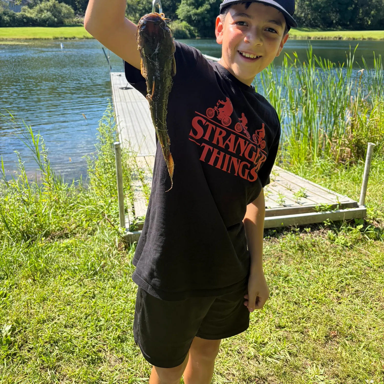 Wels catfish caught on Fishbrain