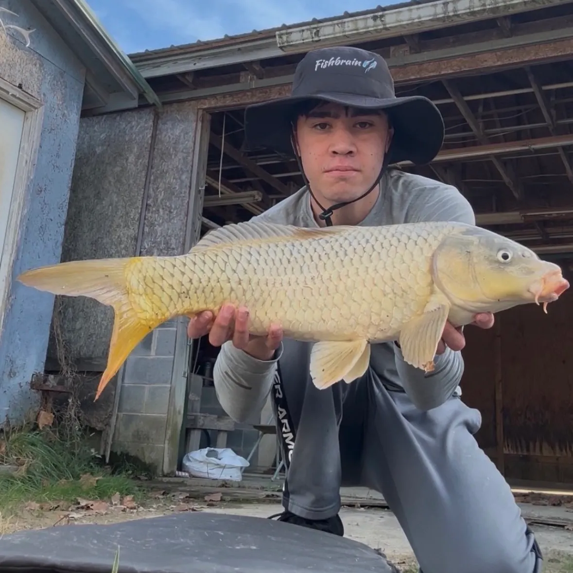 The most recent Ghost carp catches on Fishbrain