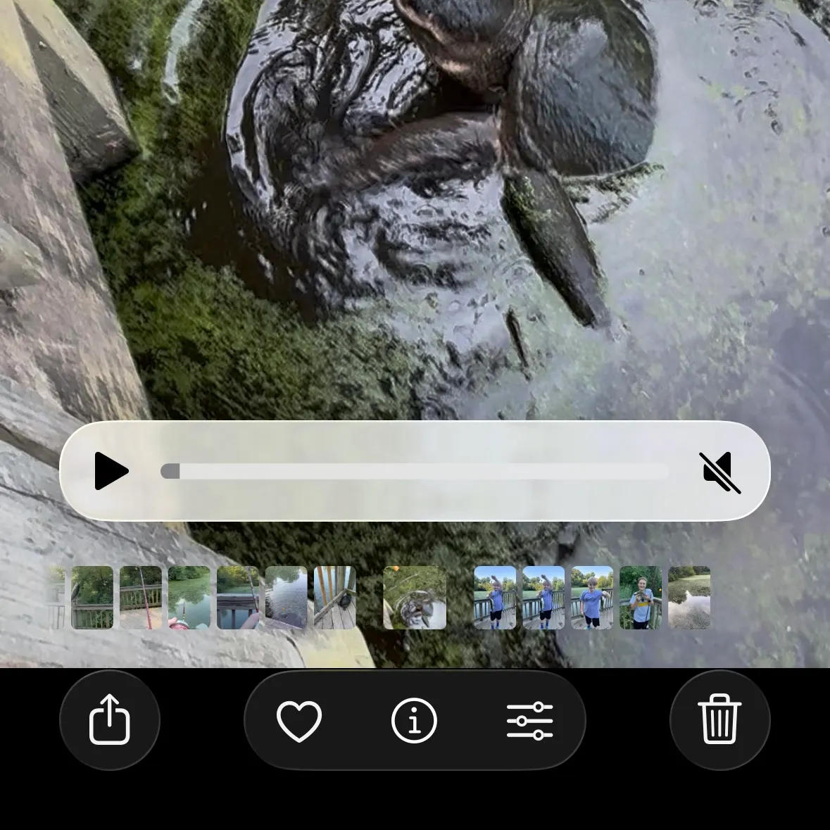 Common snapping turtle caught on Fishbrain