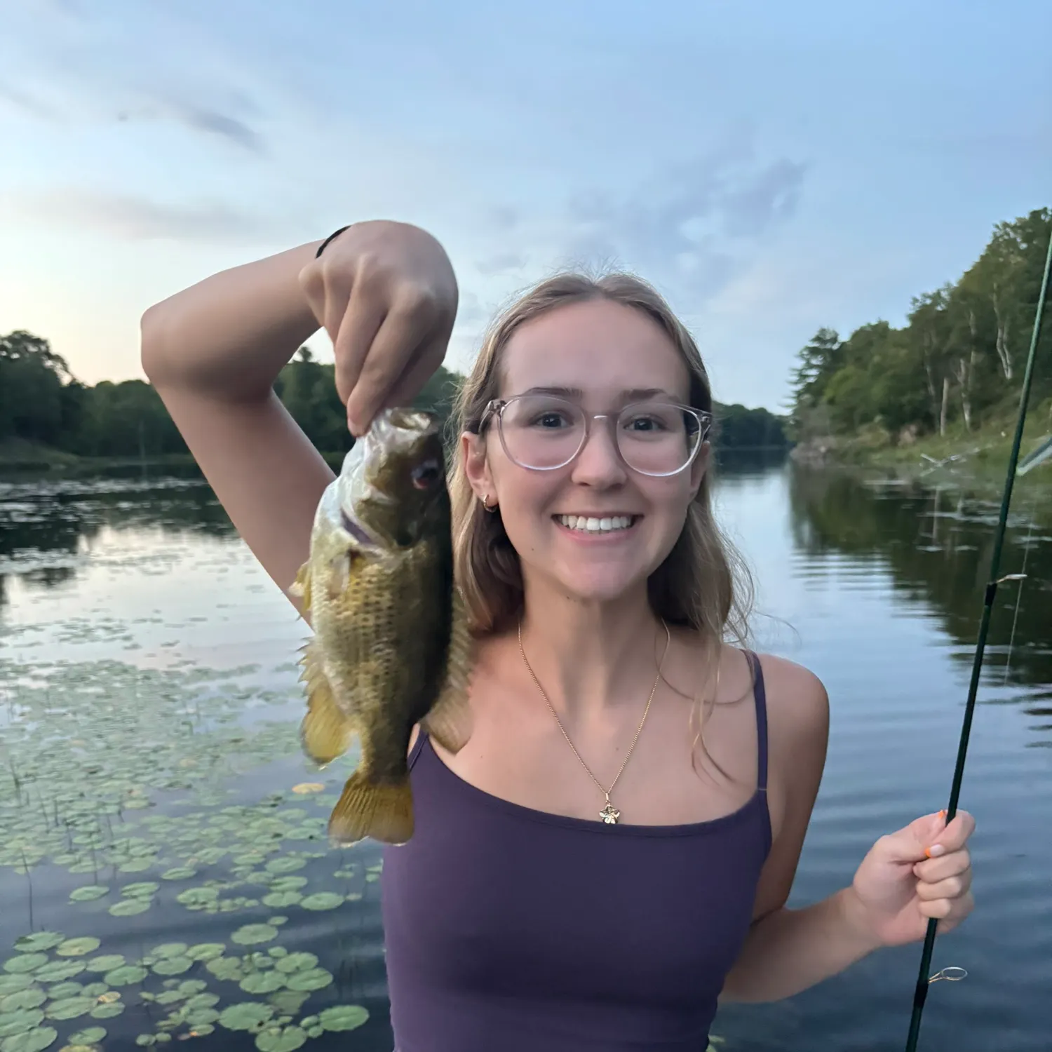 Rock bass caught on Fishbrain