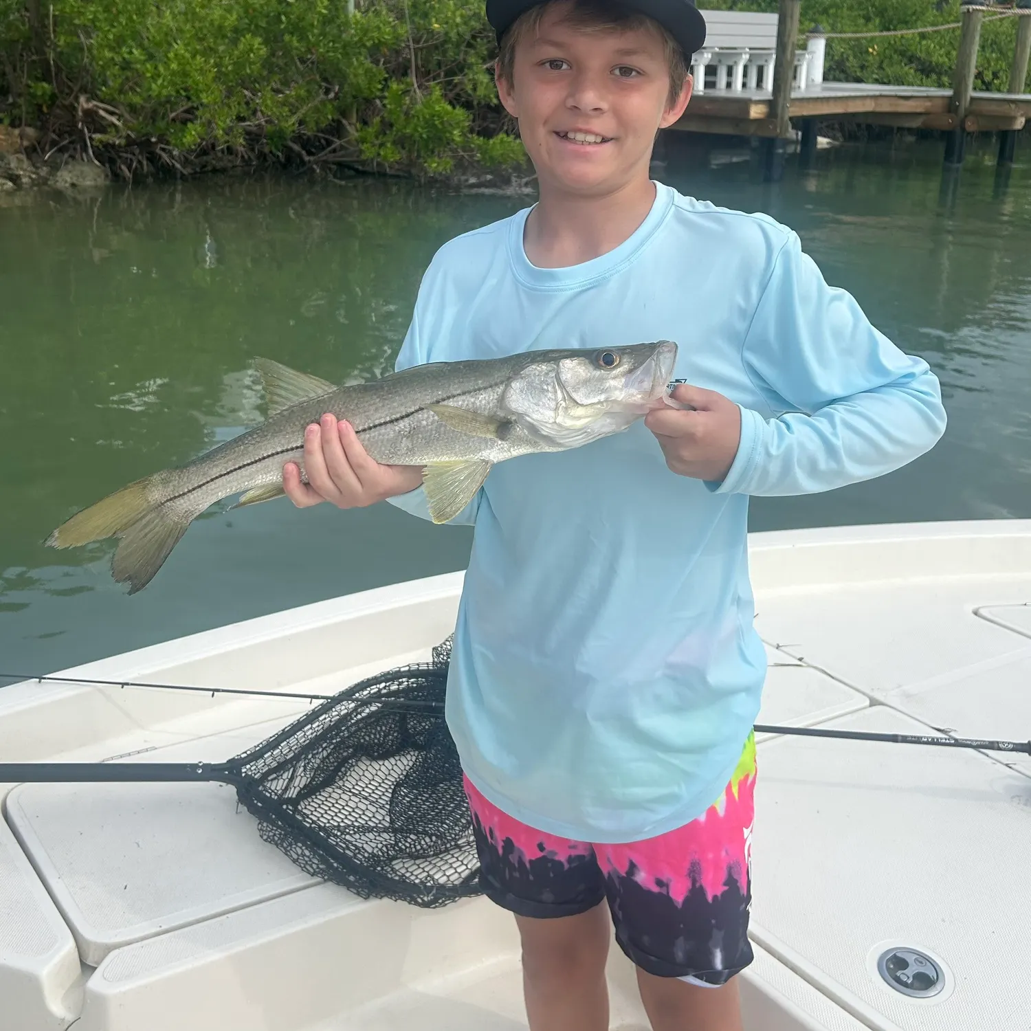The most recent Fat snook catches on Fishbrain