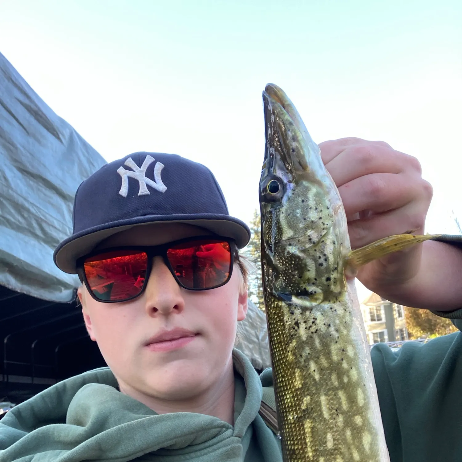 Northern pike caught on Fishbrain