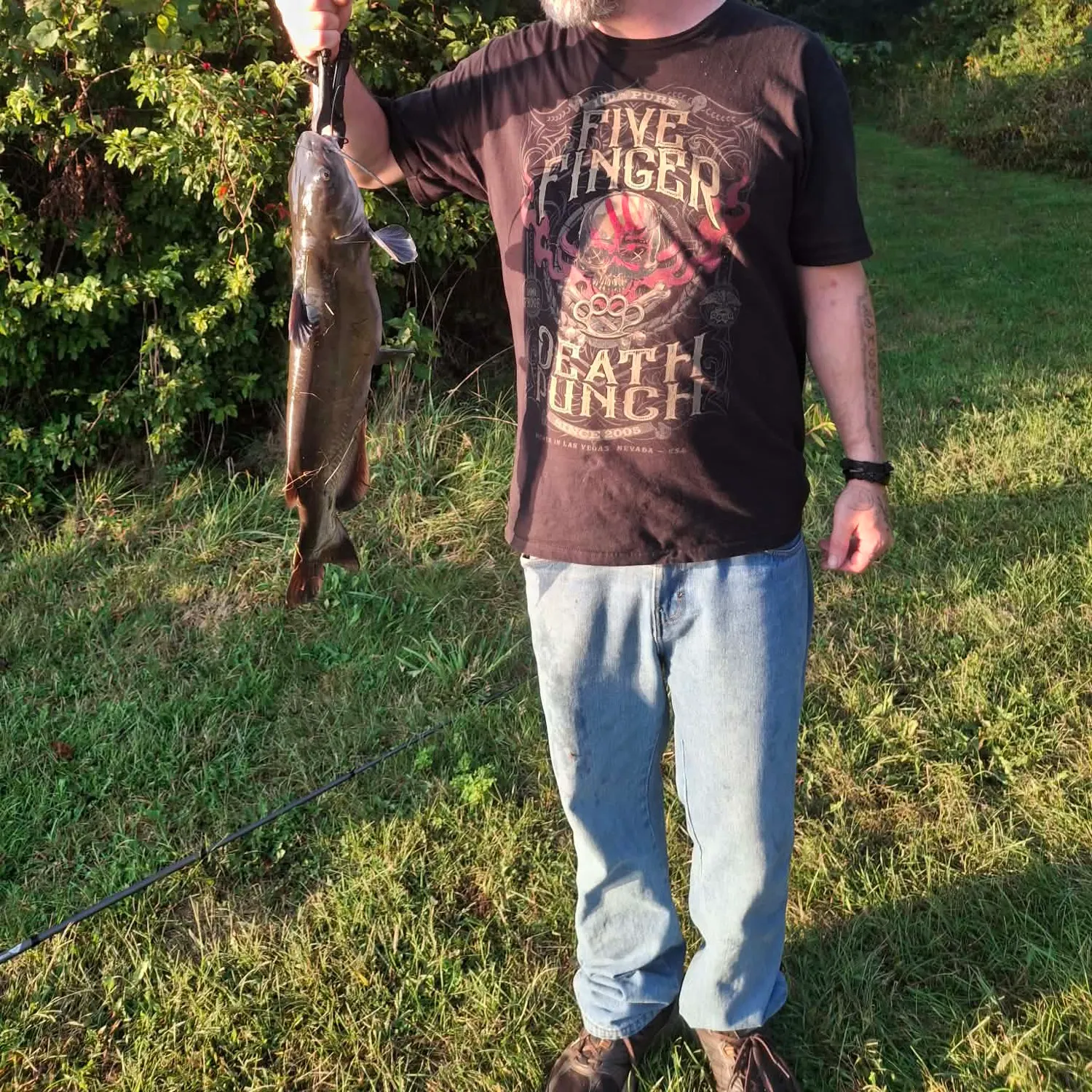 Channel catfish caught on Fishbrain