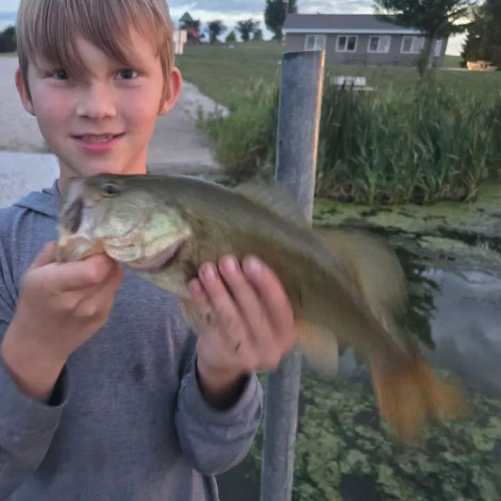 Fish caught on Fishbrain