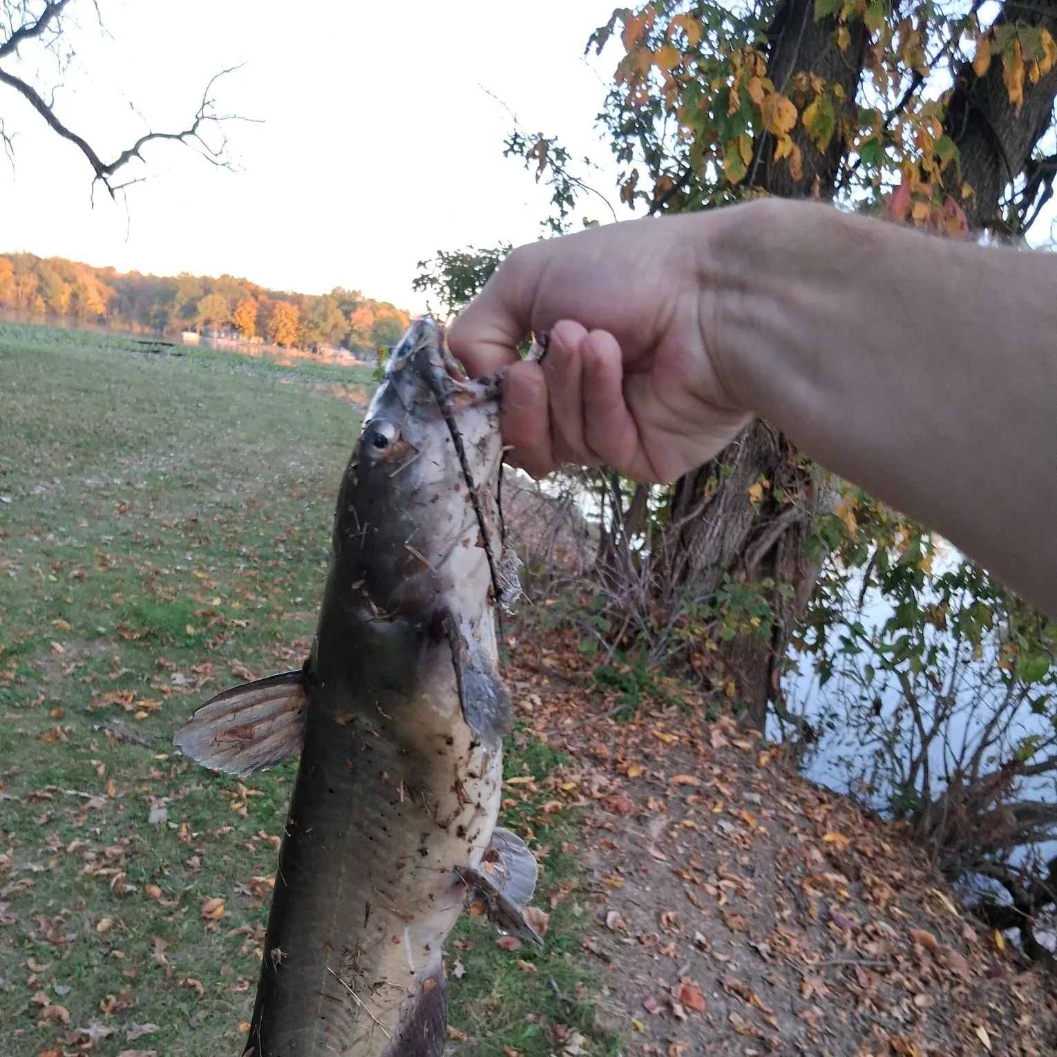 catch