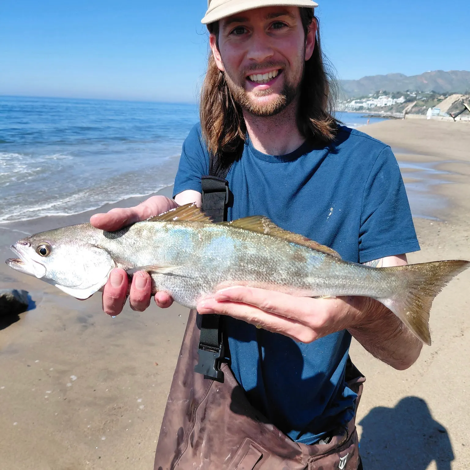 The most recent White seabass catches on Fishbrain