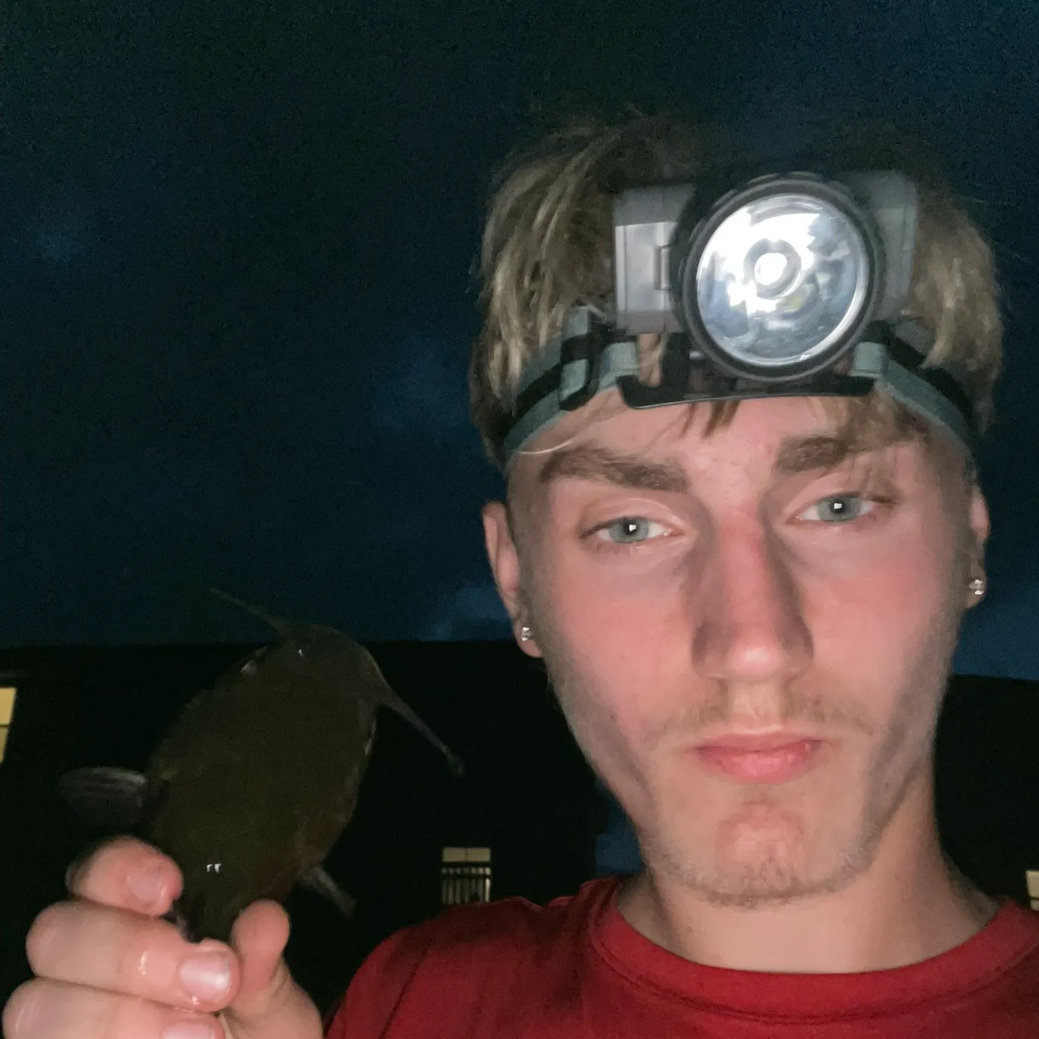 Black bullhead caught on Fishbrain