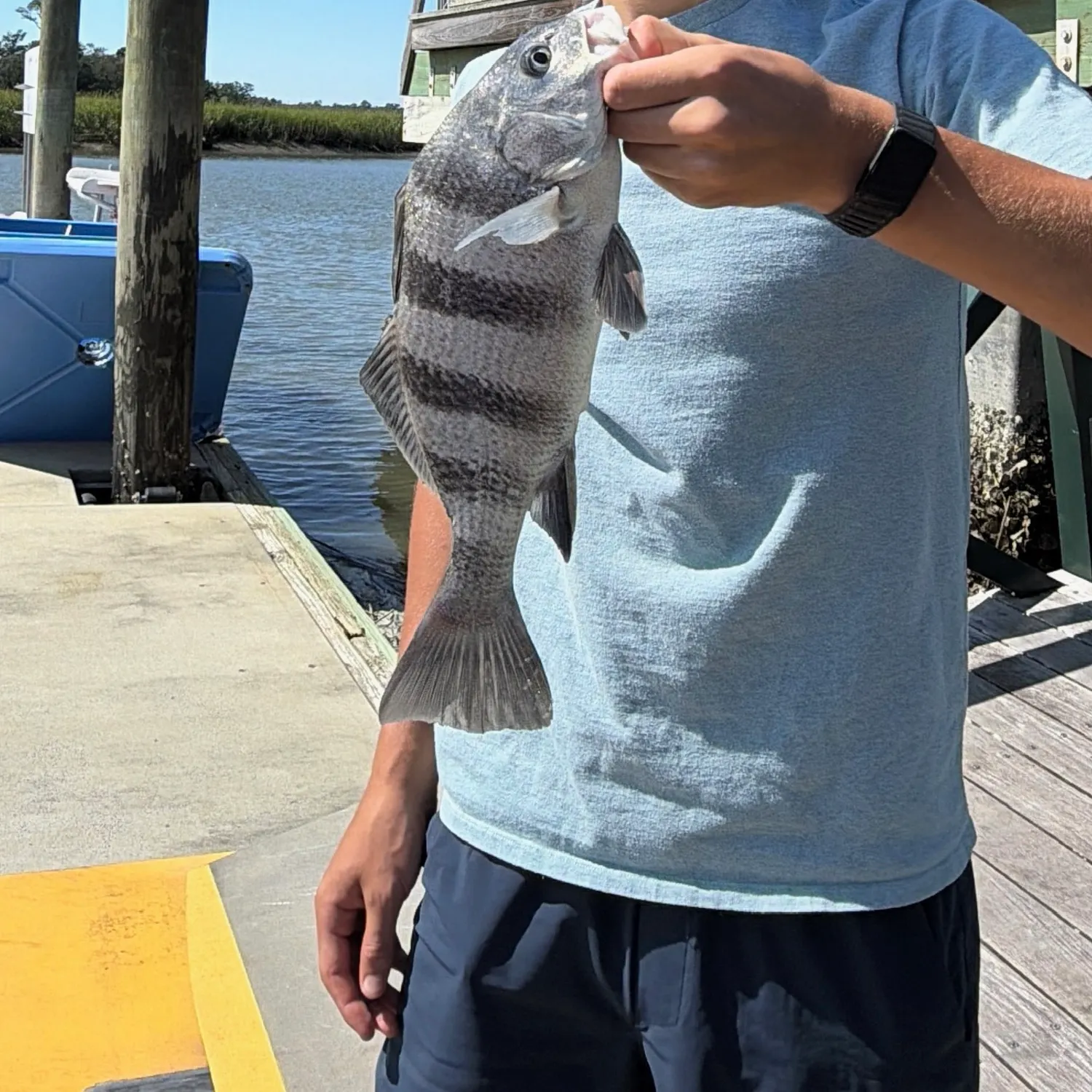 catch