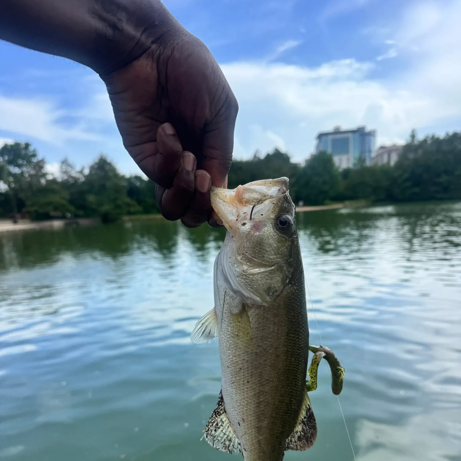 catch