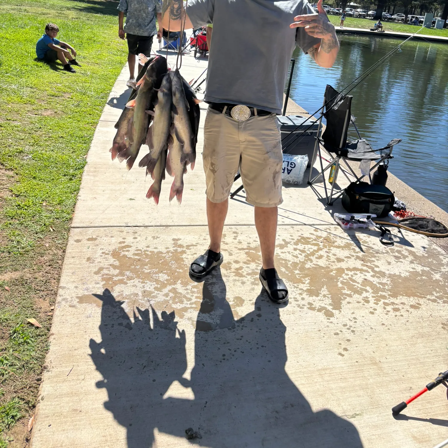 Channel catfish caught on Fishbrain
