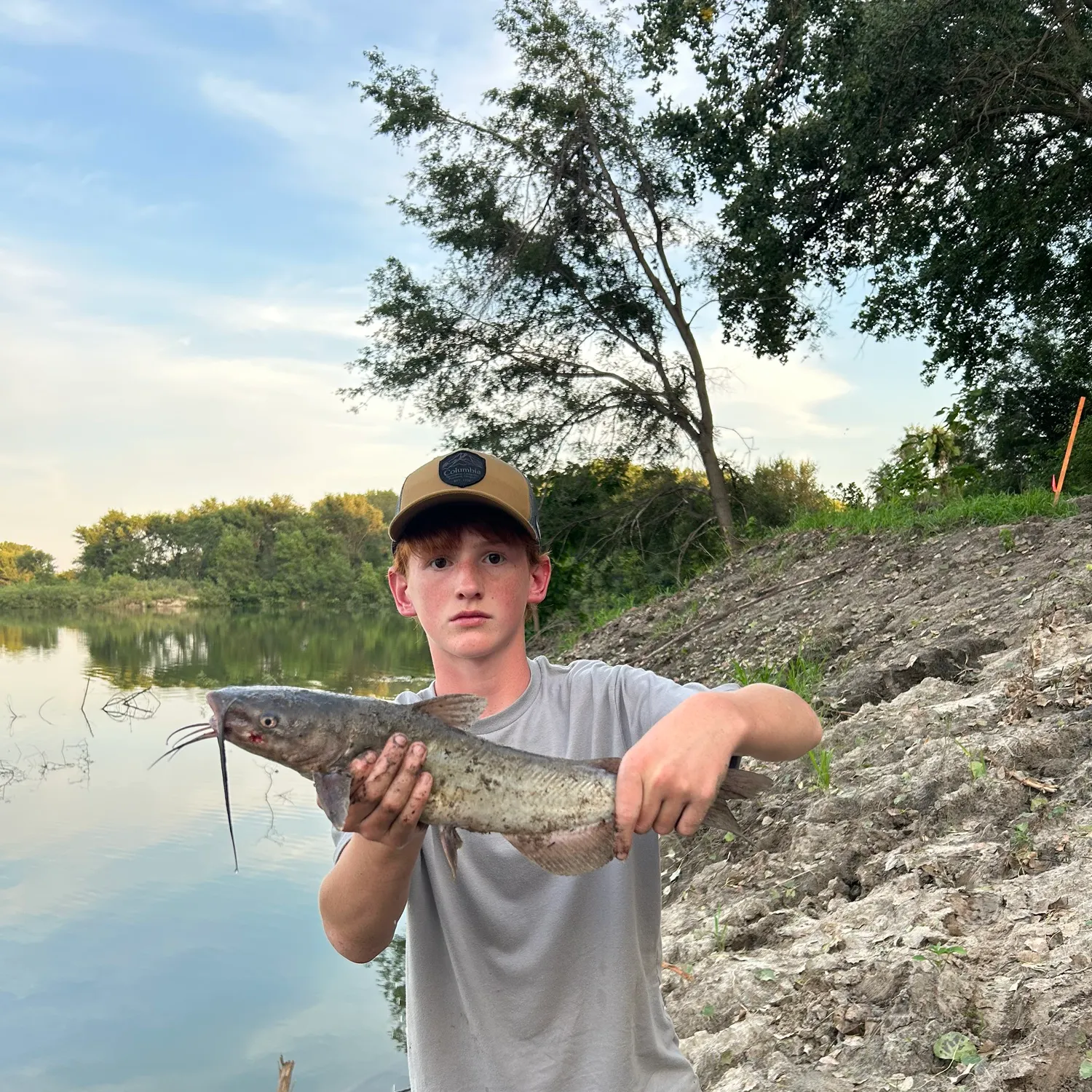 Channel catfish caught on Fishbrain