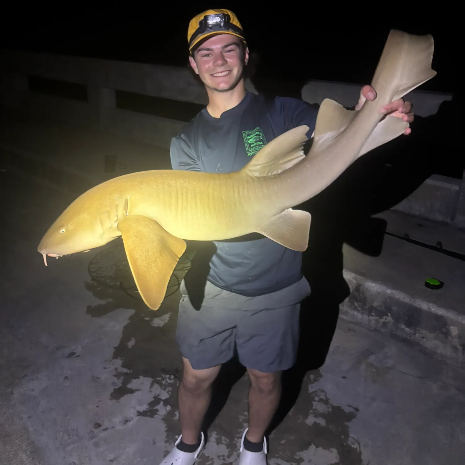 The most recent Nurse shark catches on Fishbrain