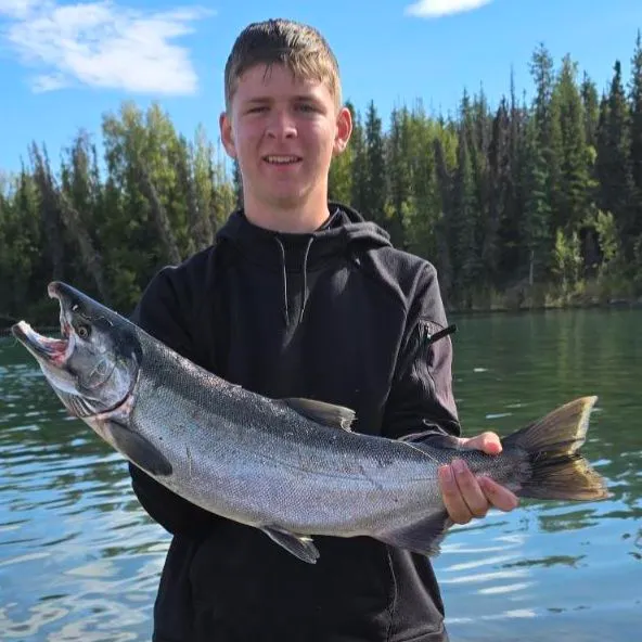 The most recent Coho salmon catches on Fishbrain