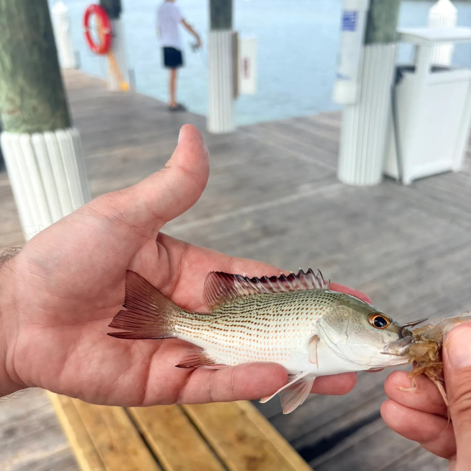catch