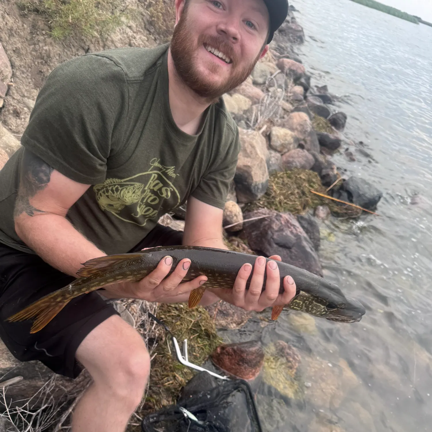 Northern pike caught on Fishbrain