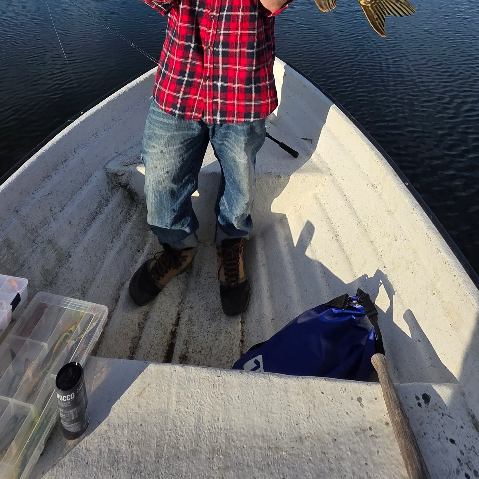 Northern pike caught on Fishbrain