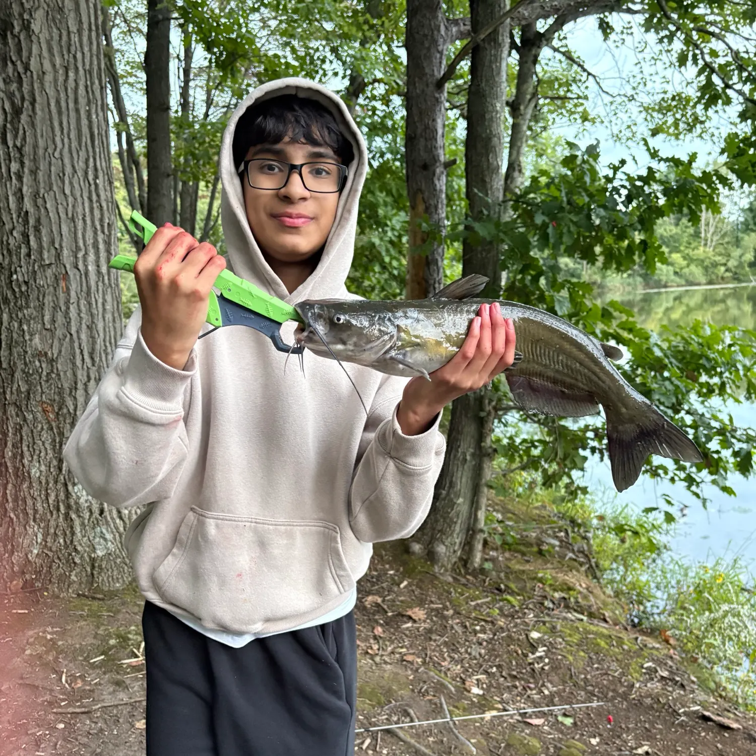 Channel catfish caught on Fishbrain