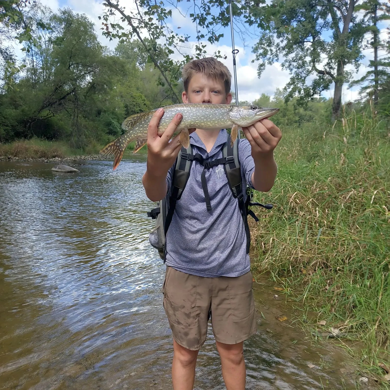 Northern pike caught on Fishbrain