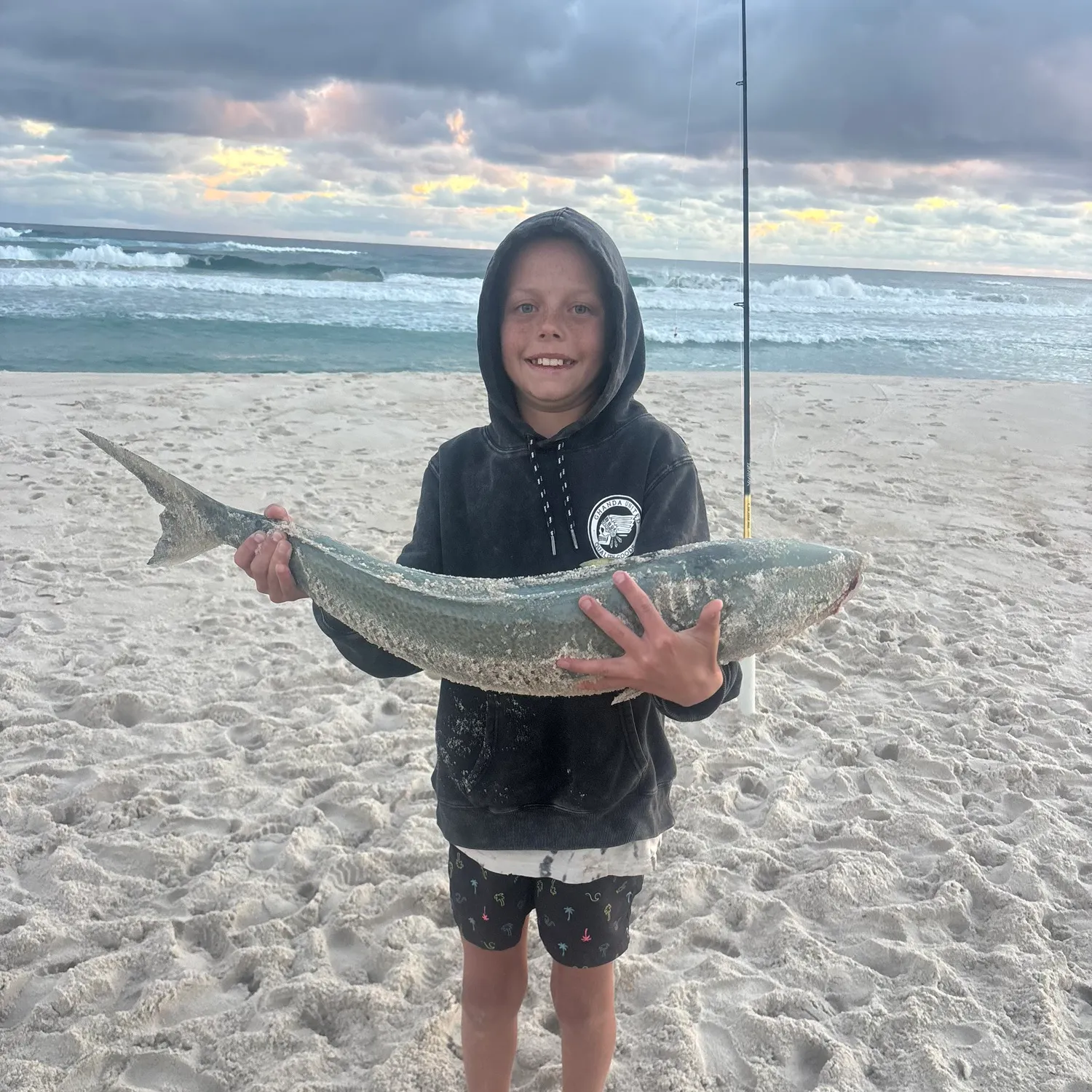 The most recent Western Australian salmon catches on Fishbrain