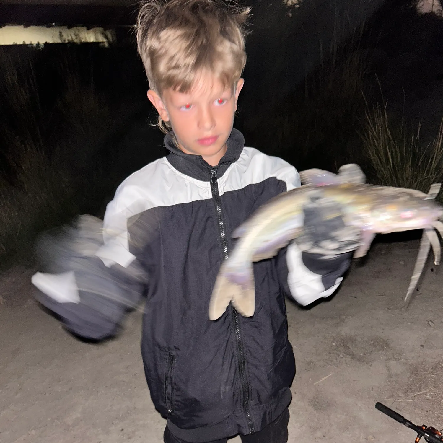 Channel catfish caught on Fishbrain